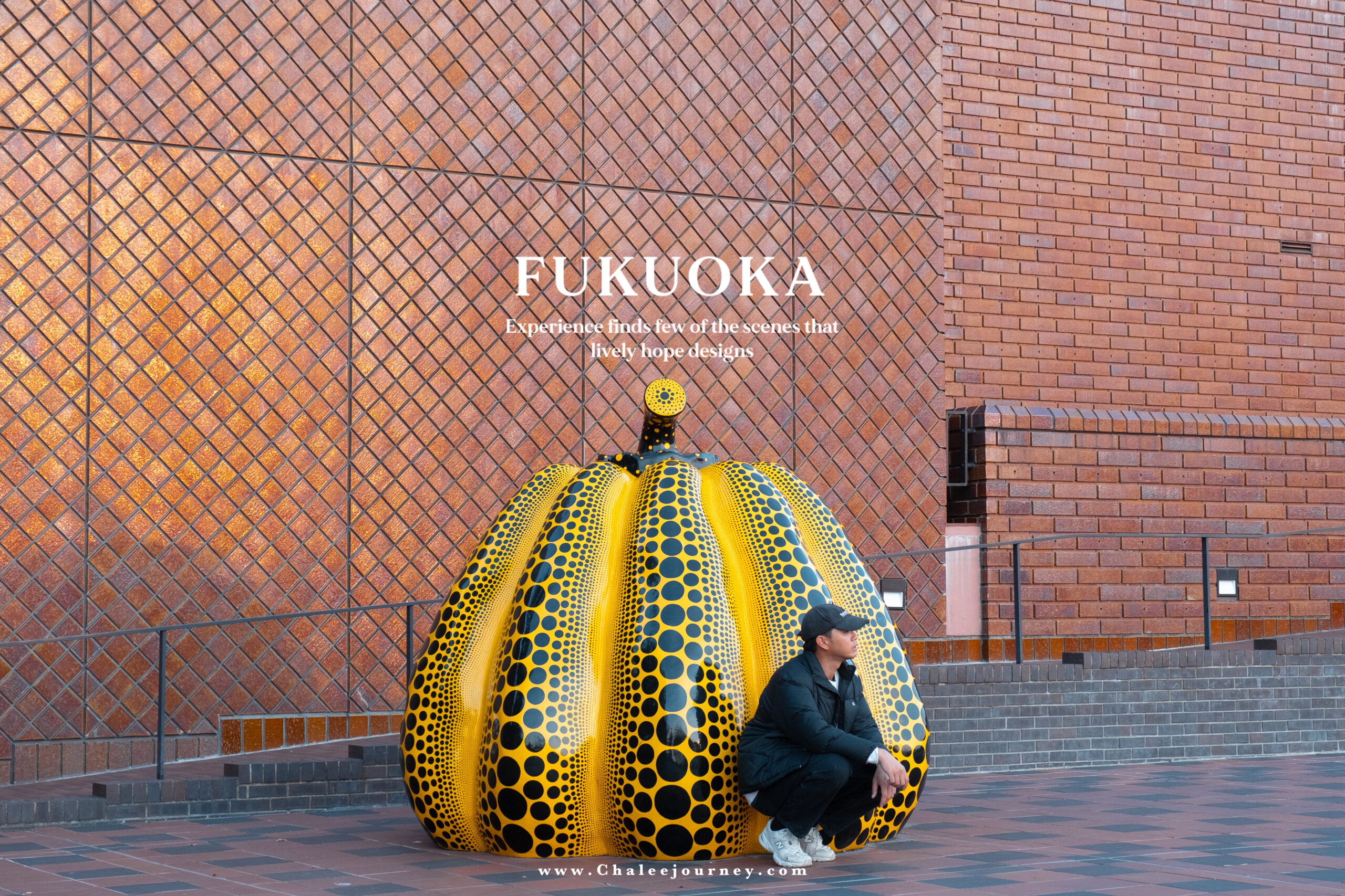 Experience finds few of the scenes that lively hope designs : Fukuoka