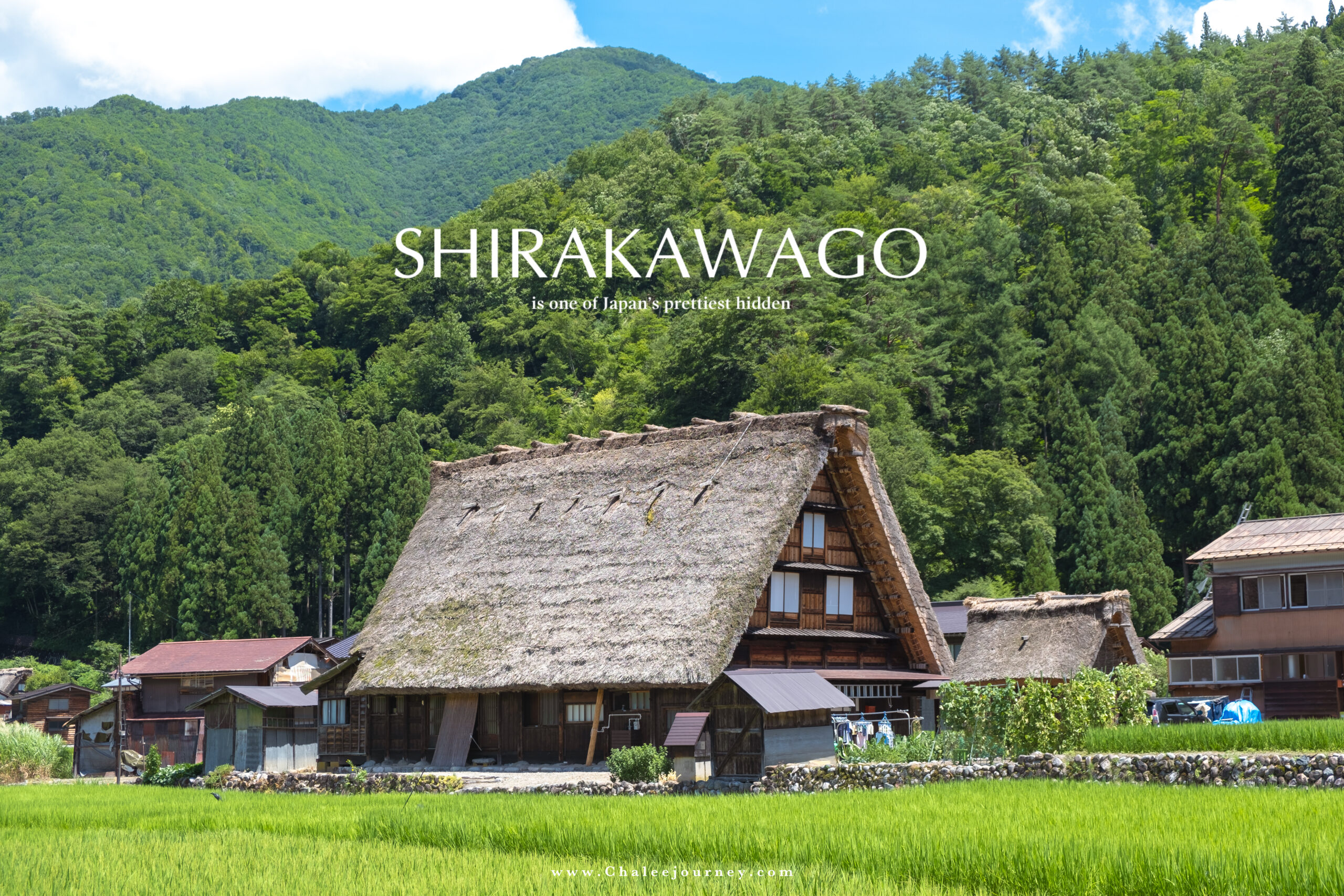 Summertime in Shirakawago